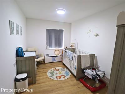 Picture 7